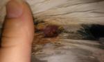 post-38782-1369586798_thumb.jpg