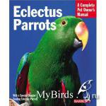 Eclectus.jpg