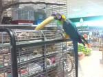 IMG0131A.jpg