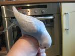 post-39747-1354289172_thumb.jpg