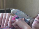 post-39747-1357221090_thumb.jpg