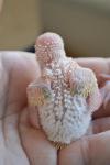 post-39747-1414786517_thumb.jpg
