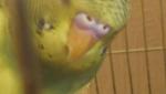 post-39773-1324839608_thumb.jpg