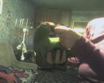 post-3994-1142852595_thumb.jpg