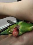 post-39953-1485475764_thumb.jpg