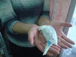 post-40467-1350754894_thumb.jpg