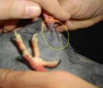 post-40555-1331983065_thumb.jpg