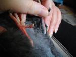 post-40555-1331988078_thumb.jpg