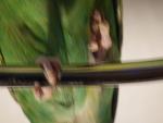 post-41649-1413803061_thumb.jpg