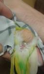post-41862-1462817123_thumb.jpg