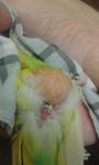 post-41862-1462817137_thumb.jpg