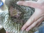 post-41969-1396882943_thumb.jpg