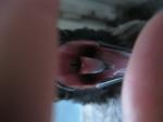 post-41969-1470313000_thumb.jpg