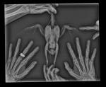 post-41969-1494187954_thumb.jpg