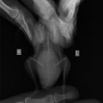 post-42116-1433081673_thumb.jpg
