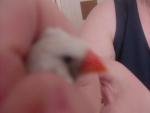 post-42131-1366199383_thumb.jpg