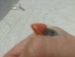 post-42131-1366281479_thumb.jpg
