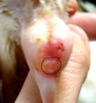 post-42187-1351590149_thumb.jpg