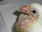 post-42187-1351768430_thumb.jpg
