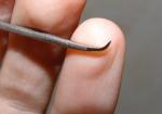 post-42187-1467711883_thumb.jpg