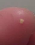 post-42312-1428760173_thumb.jpg