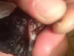 post-42537-1439495746_thumb.jpg