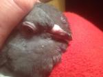 post-42537-1446138552_thumb.jpg
