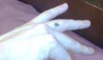 post-42590-1358083382_thumb.jpg