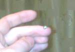 post-42590-1358083395_thumb.jpg