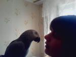 post-43117-1352593416_thumb.jpg