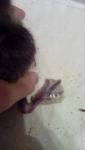 post-43597-1472461485_thumb.jpg