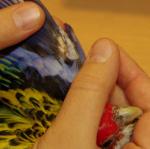post-43673-1450551482_thumb.jpg