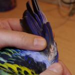 post-43673-1450551503_thumb.jpg
