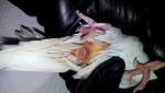 post-43744-1462126219_thumb.jpg