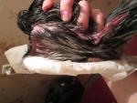 post-44155-1349459643_thumb.jpg