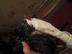 post-44155-1349459659_thumb.jpg