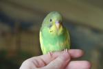post-4467-1371324514_thumb.jpg