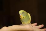 post-4467-1372278531_thumb.jpg