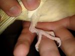 post-44802-1402324861_thumb.jpg