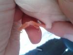 post-45018-1403969454_thumb.jpg