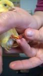 post-45018-1461773520_thumb.jpg