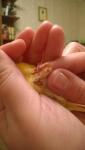 post-45018-1461784101_thumb.jpg