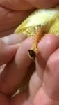 post-45018-1461950192_thumb.jpg
