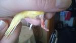 post-45018-1462639926_thumb.jpg