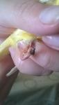 post-45018-1462639960_thumb.jpg