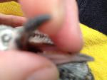 post-45159-1367772527_thumb.jpg