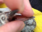 post-45159-1367772546_thumb.jpg