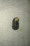 post-45423-1349980077_thumb.jpg
