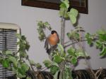 IMG_7284.JPG