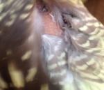 post-45949-1394891222_thumb.jpg